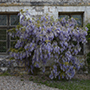 Normandie, Chateau de Harcourt, Mai 2018 © Wolfgang Herath