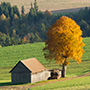Herbstlandschaft bei Gefrees, Oktober 2013 © Wolfgang Herath