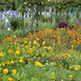 Normandie, Giverny, Garten des Malers Claude Monet, Mai 2019 © Wolfgang Herath